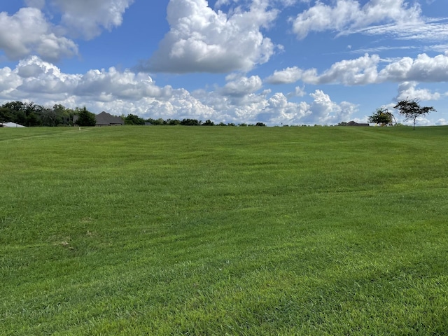 0 Hills Dr, Hillsboro, TN 37342 - photo 2