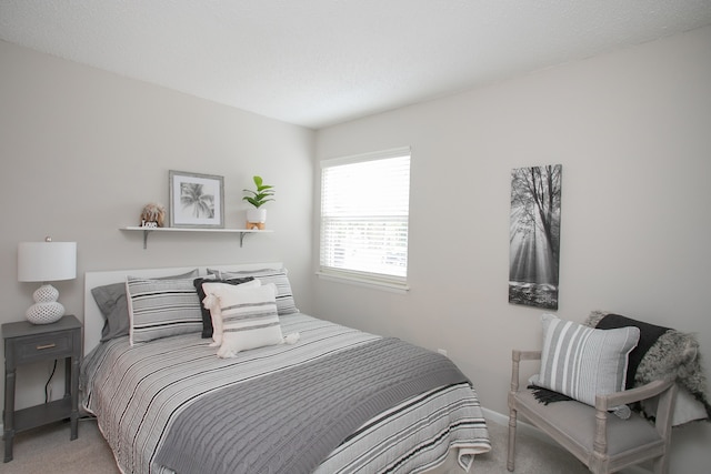 bedroom with carpet flooring