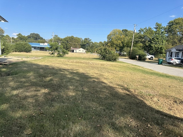 view of yard