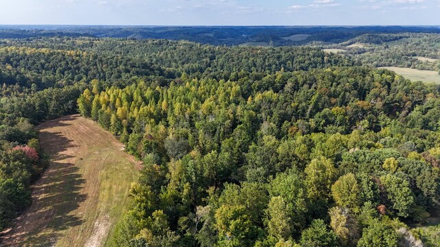 944 Shoal Bluff Rd, Minor Hill, TN 38473 - photo 32