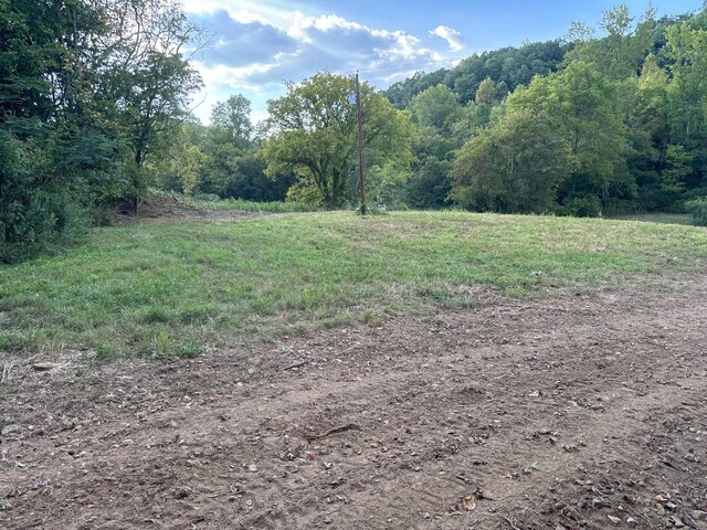 944 Shoal Bluff Rd, Minor Hill, TN 38473 - photo 13
