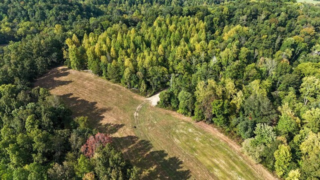 944 Shoal Bluff Rd, Minor Hill, TN 38473 - photo 39