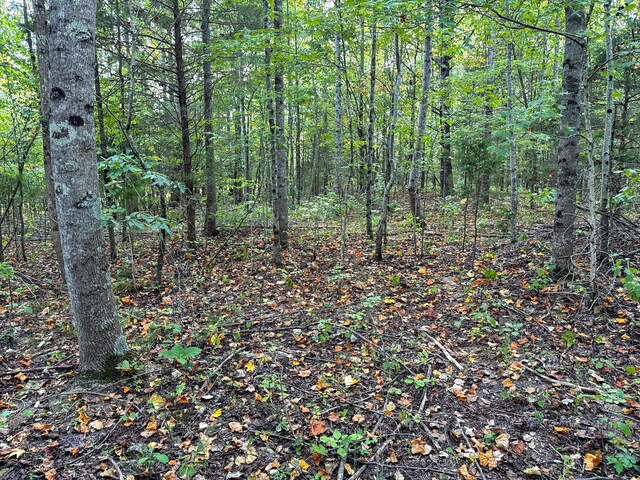 944 Shoal Bluff Rd, Minor Hill, TN 38473 - photo 25
