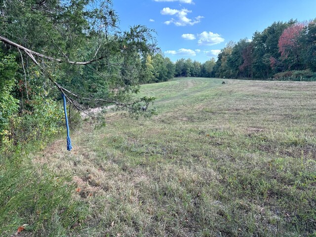 944 Shoal Bluff Rd, Minor Hill, TN 38473 - photo 31