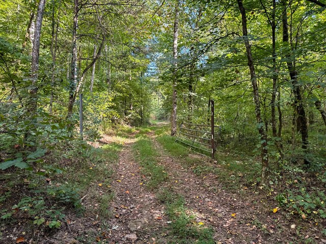 944 Shoal Bluff Rd, Minor Hill, TN 38473 - photo 20