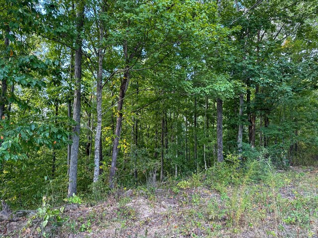 944 Shoal Bluff Rd, Minor Hill, TN 38473 - photo 21