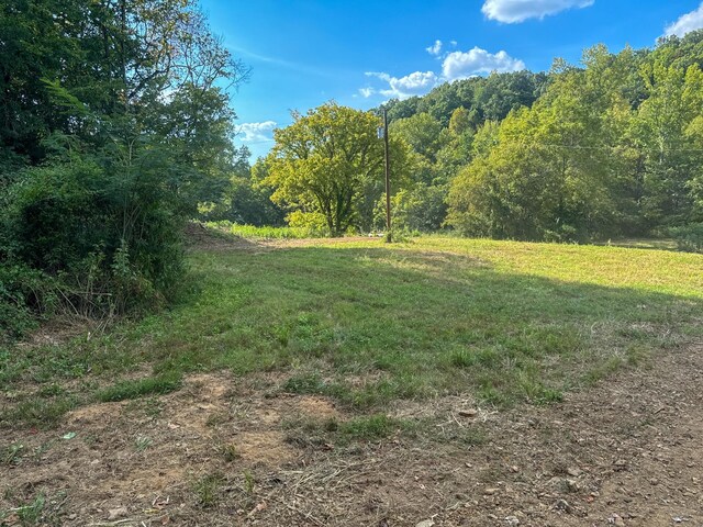 944 Shoal Bluff Rd, Minor Hill, TN 38473 - photo 10