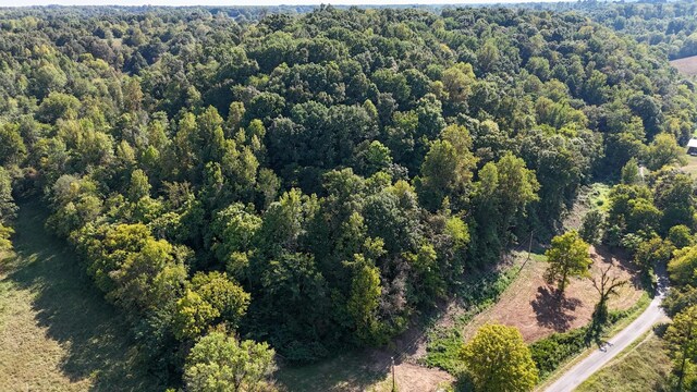 944 Shoal Bluff Rd, Minor Hill, TN 38473 - photo 15