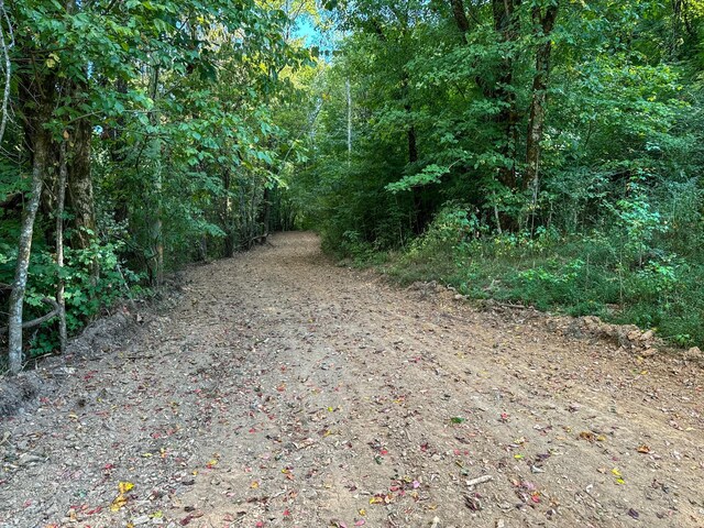 944 Shoal Bluff Rd, Minor Hill, TN 38473 - photo 17