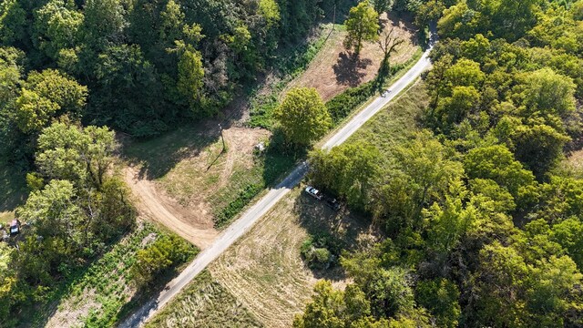 944 Shoal Bluff Rd, Minor Hill, TN 38473 - photo 6