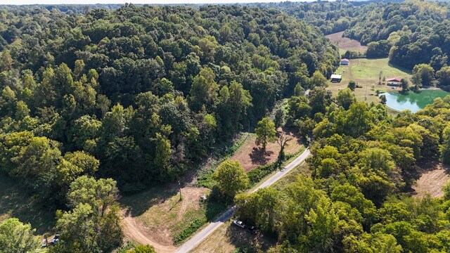 944 Shoal Bluff Rd, Minor Hill, TN 38473 - photo 14