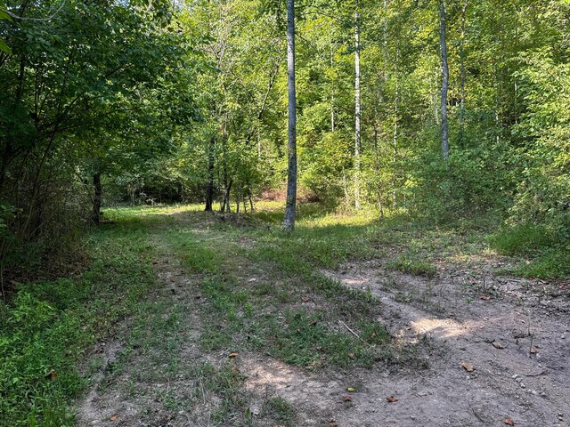 944 Shoal Bluff Rd, Minor Hill, TN 38473 - photo 19
