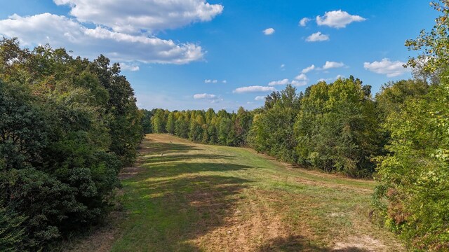 944 Shoal Bluff Rd, Minor Hill, TN 38473 - photo 37