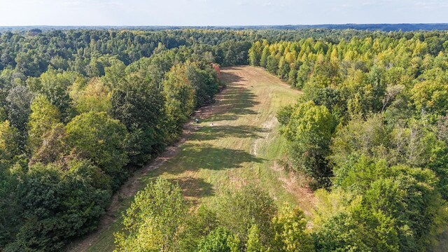 944 Shoal Bluff Rd, Minor Hill, TN 38473 - photo 1