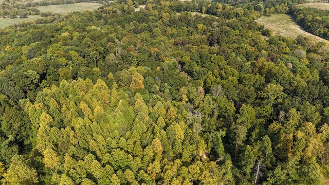944 Shoal Bluff Rd, Minor Hill, TN 38473 - photo 33