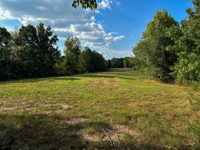 944 Shoal Bluff Rd, Minor Hill, TN 38473 - photo 29