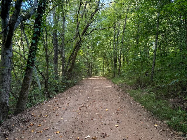 944 Shoal Bluff Rd, Minor Hill, TN 38473 - photo 18