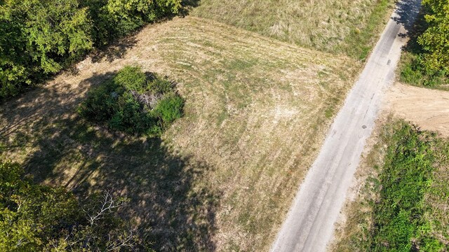 944 Shoal Bluff Rd, Minor Hill, TN 38473 - photo 8
