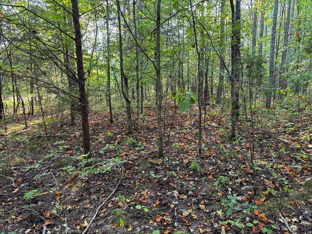 944 Shoal Bluff Rd, Minor Hill, TN 38473 - photo 22