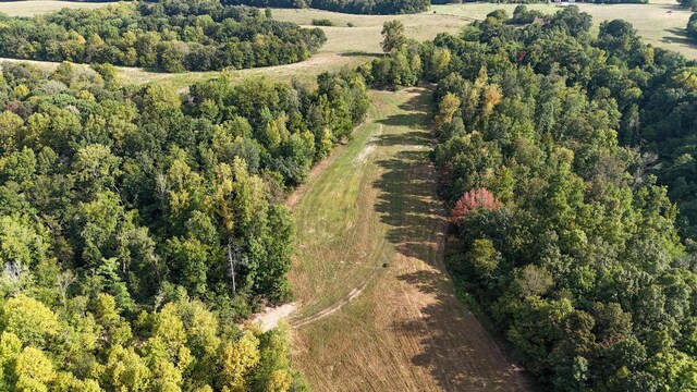 944 Shoal Bluff Rd, Minor Hill, TN 38473 - photo 40