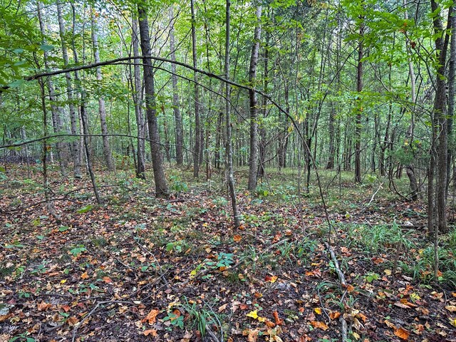 944 Shoal Bluff Rd, Minor Hill, TN 38473 - photo 26