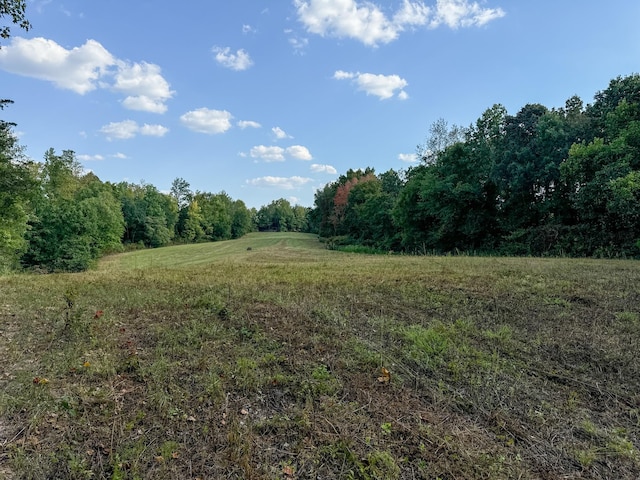 944 Shoal Bluff Rd, Minor Hill, TN 38473 - photo 2