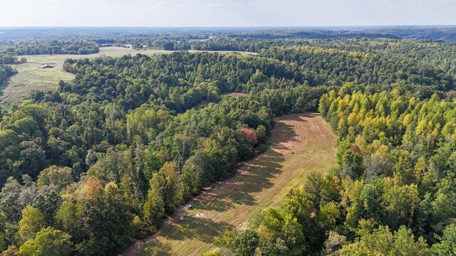 944 Shoal Bluff Rd, Minor Hill, TN 38473 - photo 34
