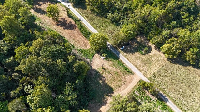 944 Shoal Bluff Rd, Minor Hill, TN 38473 - photo 7