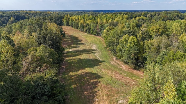 944 Shoal Bluff Rd, Minor Hill, TN 38473 - photo 3