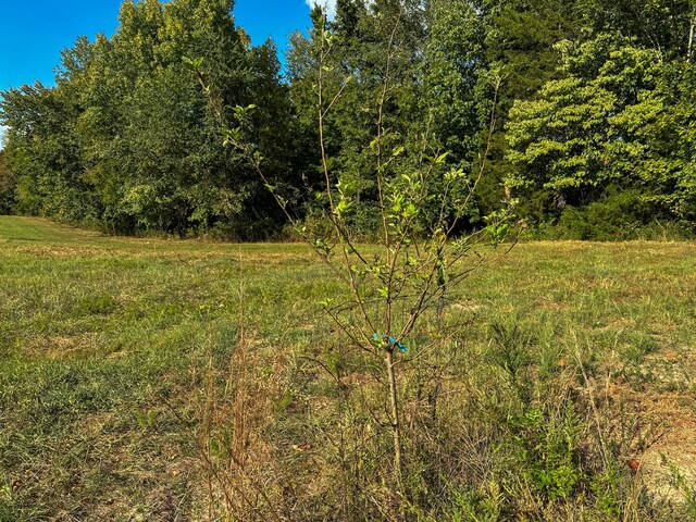 944 Shoal Bluff Rd, Minor Hill, TN 38473 - photo 30