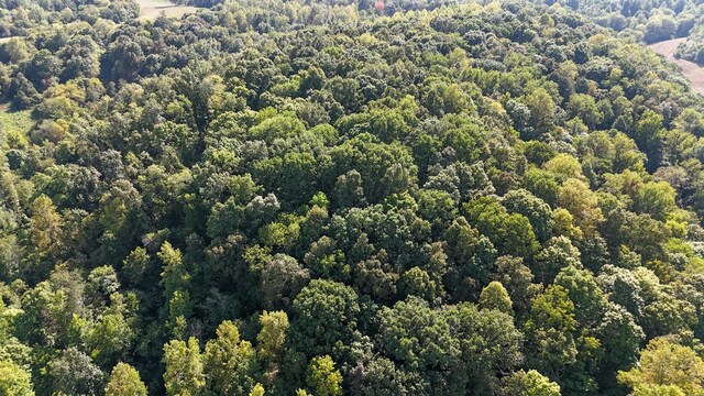 944 Shoal Bluff Rd, Minor Hill, TN 38473 - photo 28