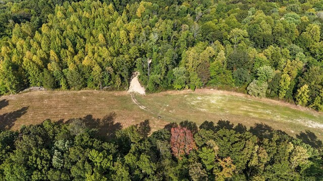 944 Shoal Bluff Rd, Minor Hill, TN 38473 - photo 35