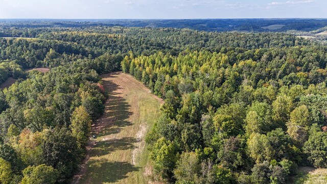 944 Shoal Bluff Rd, Minor Hill, TN 38473 - photo 38
