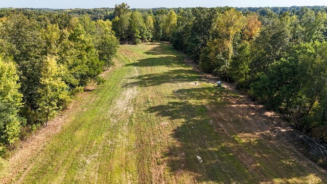 944 Shoal Bluff Rd, Minor Hill, TN 38473 - photo 41