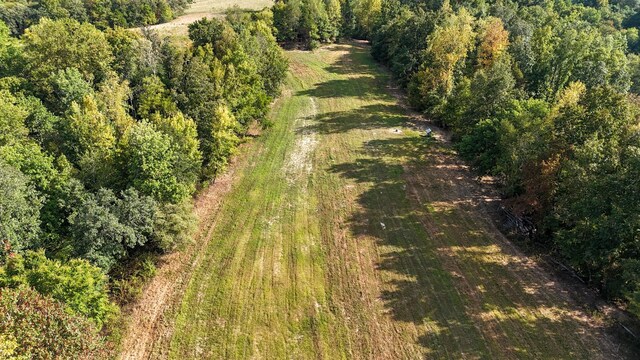 944 Shoal Bluff Rd, Minor Hill, TN 38473 - photo 36