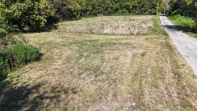 944 Shoal Bluff Rd, Minor Hill, TN 38473 - photo 11