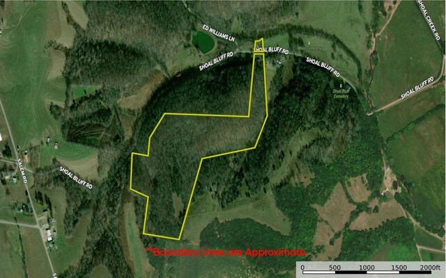 944 Shoal Bluff Rd, Minor Hill, TN 38473 - photo 55