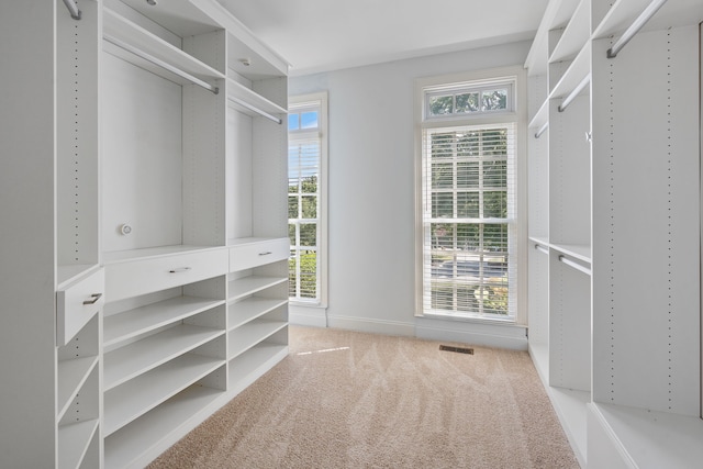 spacious closet featuring light colored carpet