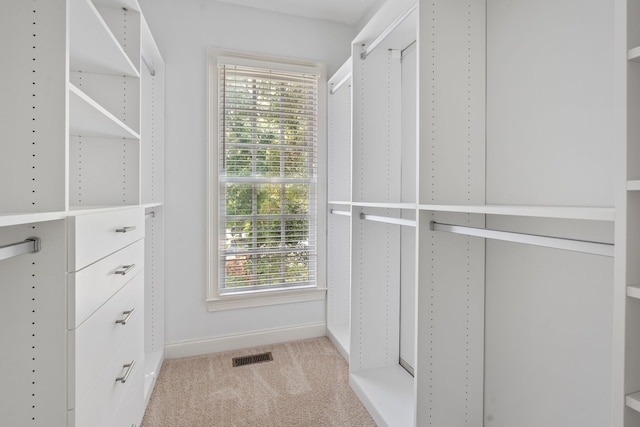 walk in closet with light carpet