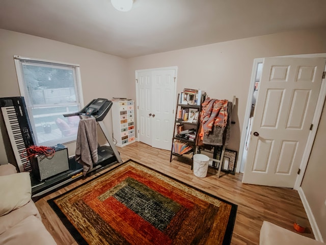 interior space featuring light hardwood / wood-style floors