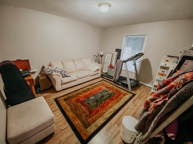 living room with wood-type flooring