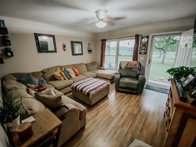 living room with light hardwood / wood-style floors, ceiling fan, and a healthy amount of sunlight