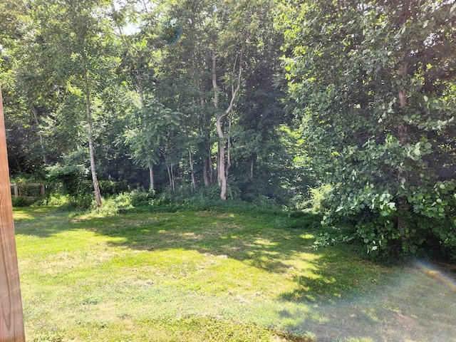 view of yard featuring a wooded view