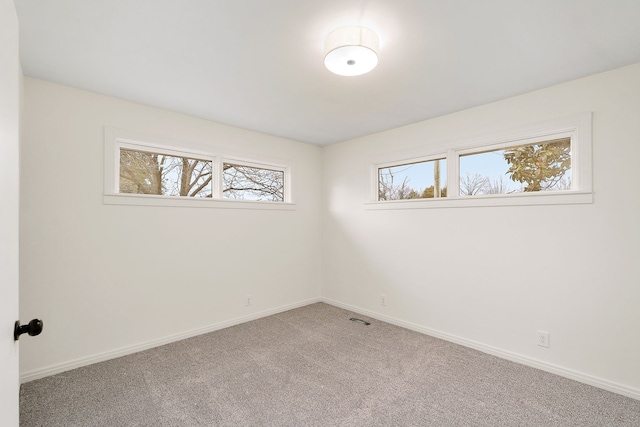 unfurnished room featuring carpet floors