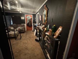 home theater room with carpet floors and rail lighting