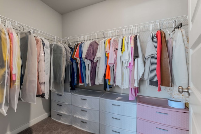 walk in closet with carpet floors