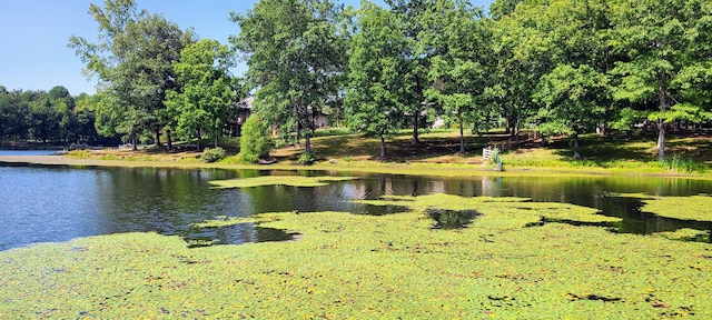 view of water feature