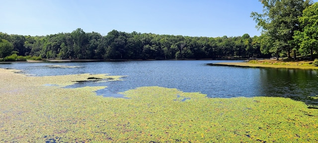 view of water feature