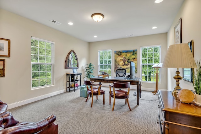 home office with carpet