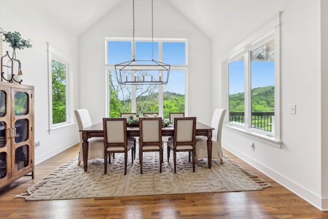 dining room featuring a wealth of natural light, a notable chandelier, and hardwood / wood-style floors